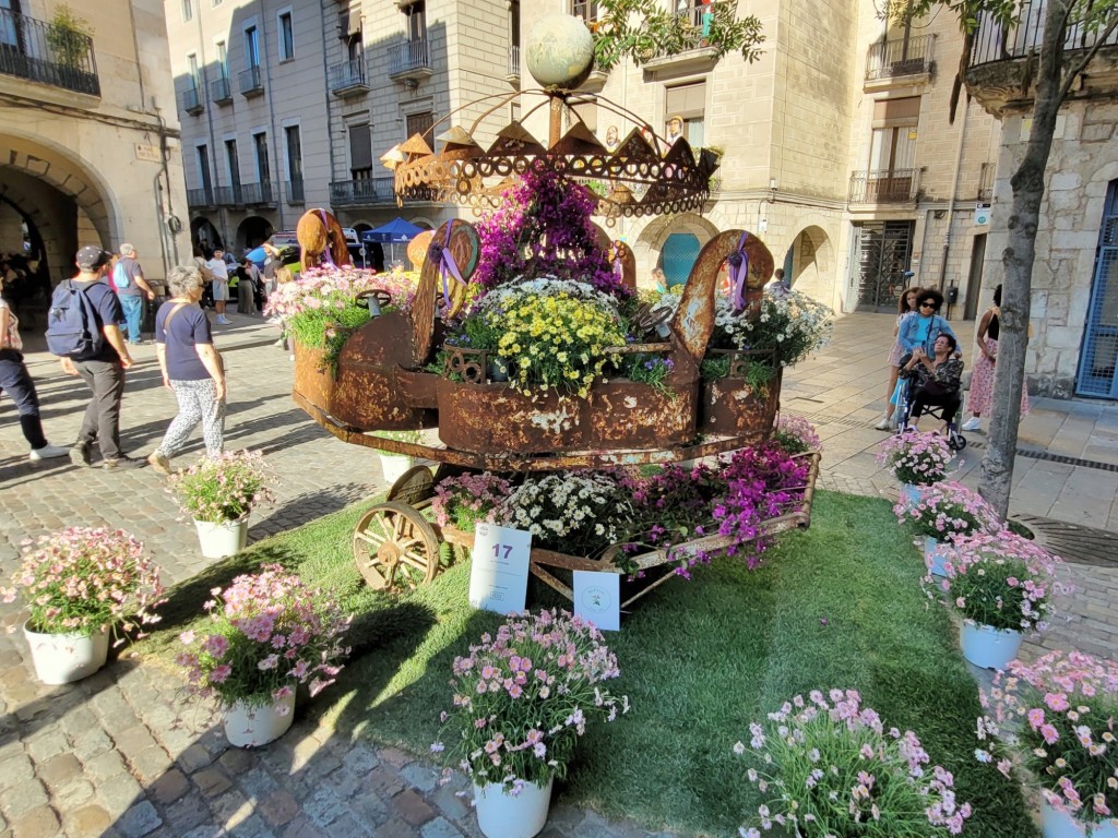 Foto: Girona en Flors 2024 - Girona (Cataluña), España