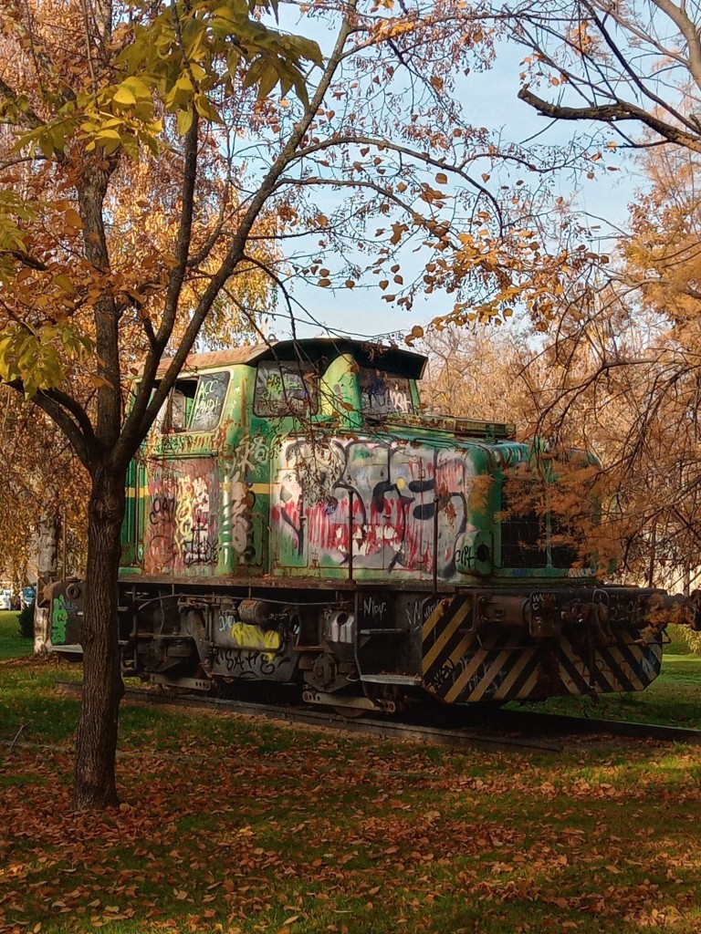 Foto: Jardines de la Universidad Autónoma - Madrid (Comunidad de Madrid), España