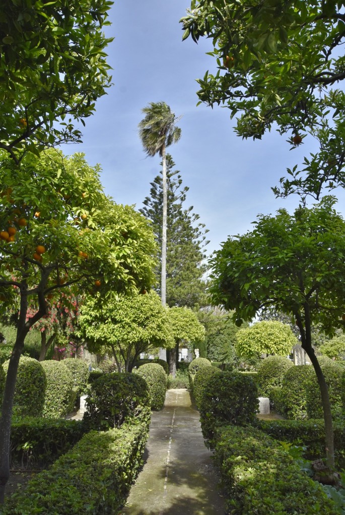 Foto: Palacio de los Ribera - Bornos (Cádiz), España