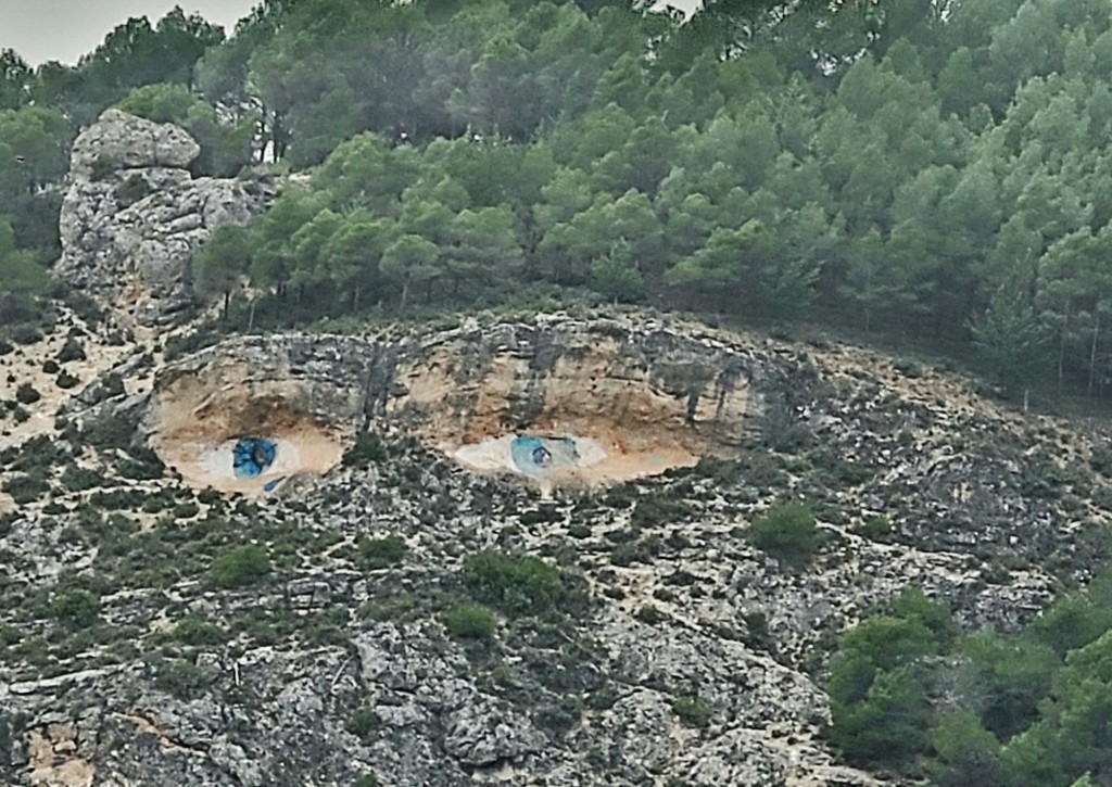 Foto: Detalle en la montaña - Cuenca (Castilla La Mancha), España