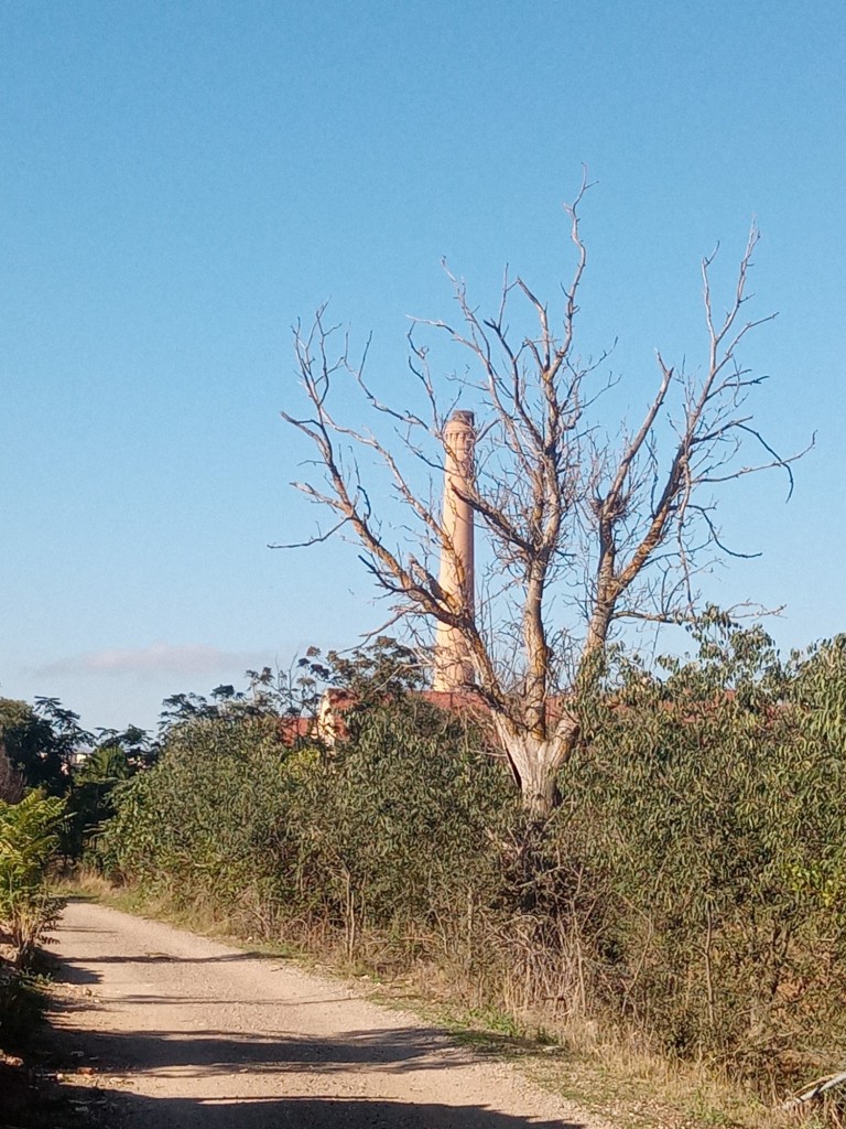 Foto: Camino de las cruces - Calatayud (Zaragoza), España