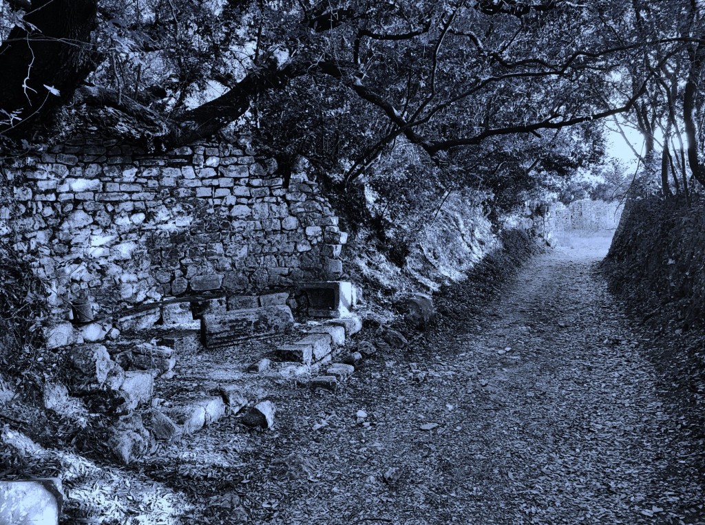 Foto: Parku Kombëtar I Butrintit - Butrinti (Vlorë), Albania