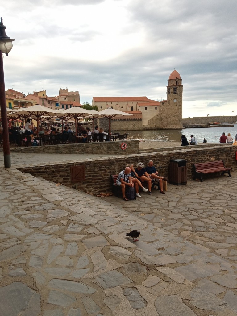 Foto de Collioure (Languedoc-Roussillon), Francia