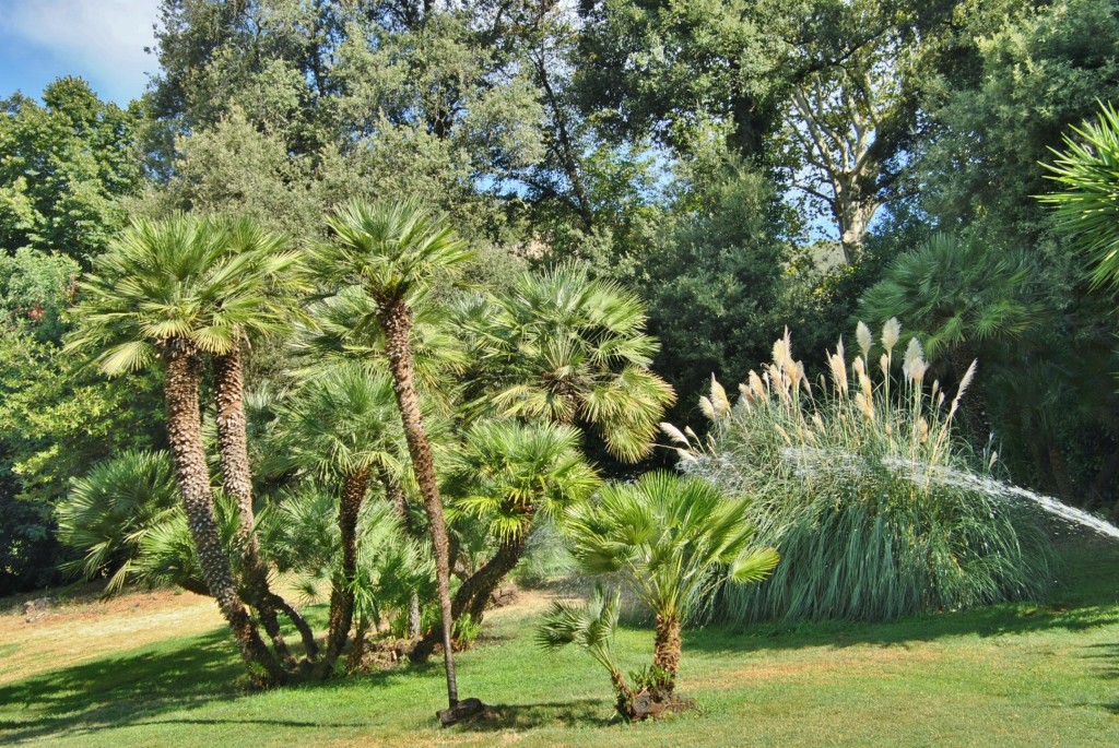 Foto: Jardines del Palacio Real - Caserta (Campania), Italia