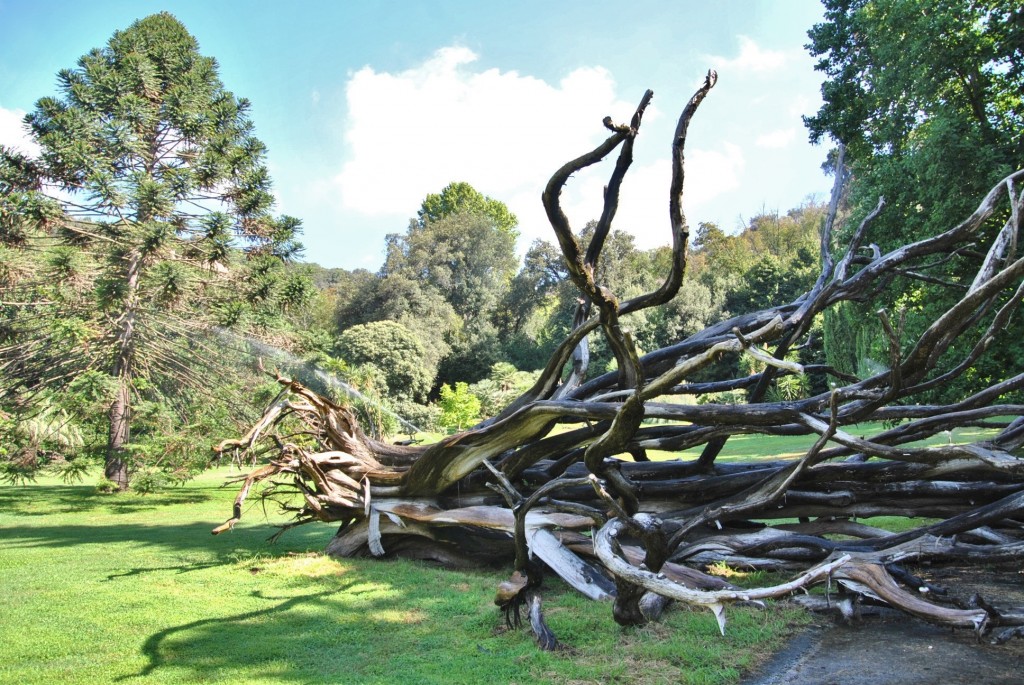 Foto: Jardines del Palacio Real - Caserta (Campania), Italia