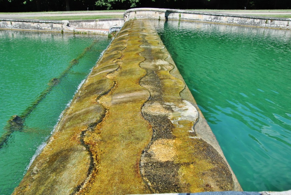 Foto: Jardines del Palacio Real - Caserta (Campania), Italia