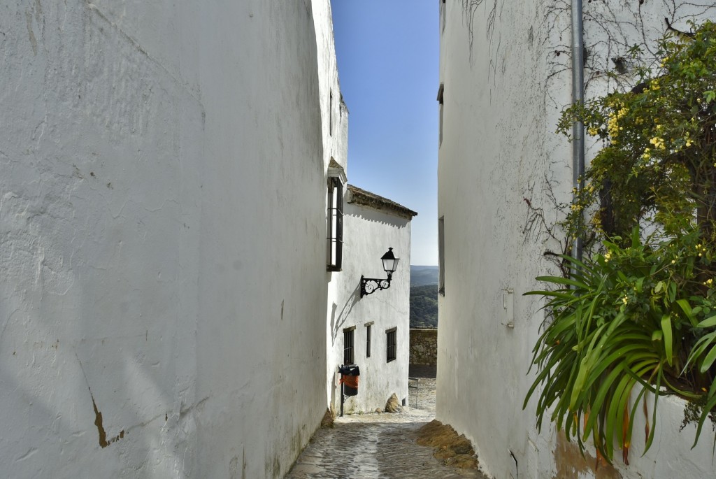 Foto: Castillo de Castellar - Castellar de la Frontera (Cádiz), España