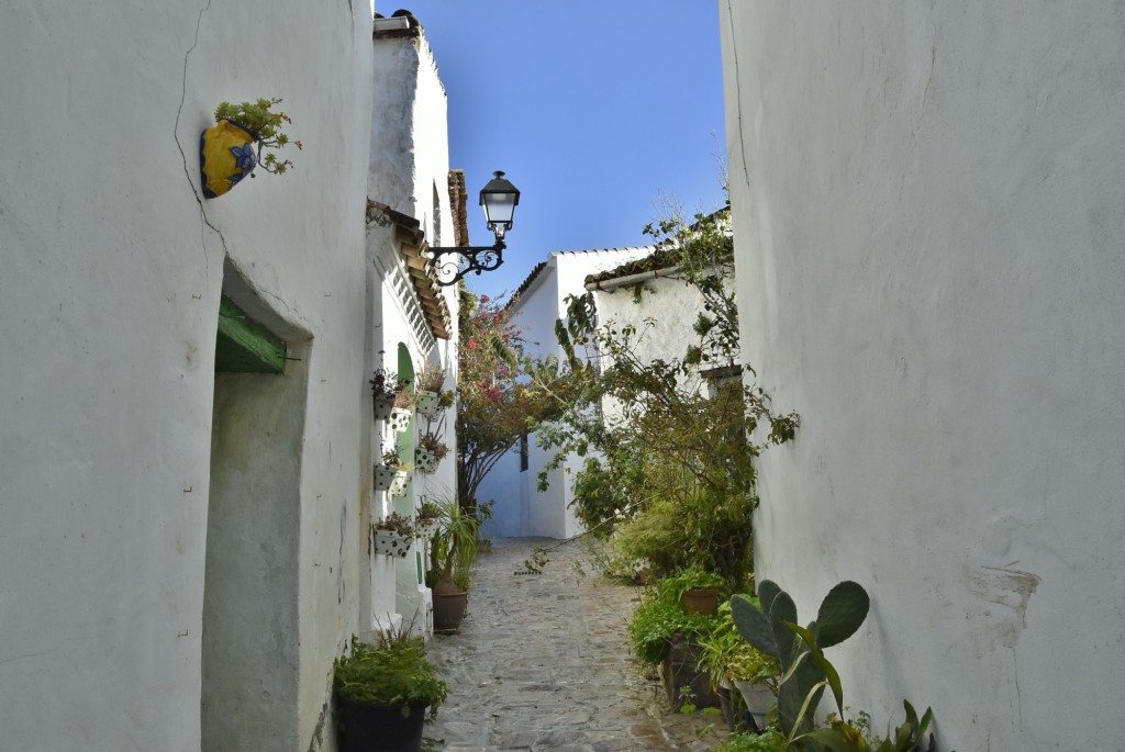 Foto: Castillo de Castellar - Castellar de la Frontera (Cádiz), España