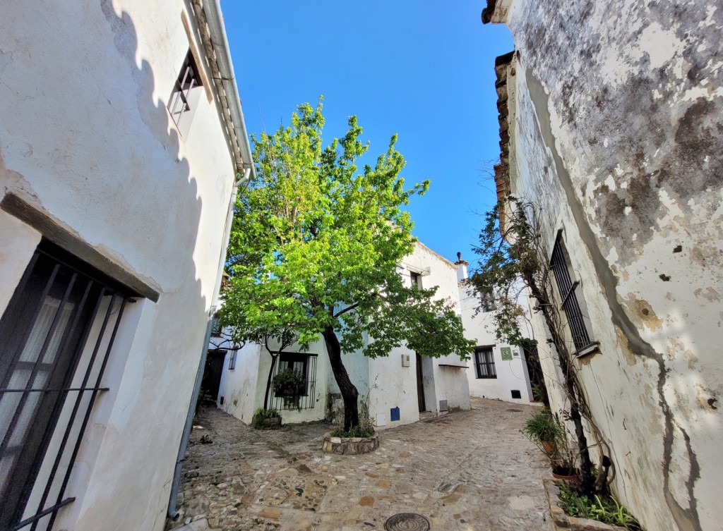 Foto: Castillo de Castellar - Castellar de la Frontera (Cádiz), España