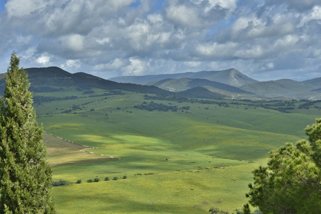 Foto: Paisaje - Alcalá de los Gazules (Cádiz), España