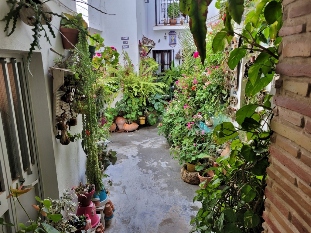 Foto: Centro histórico - Vejer de la Frontera (Cádiz), España