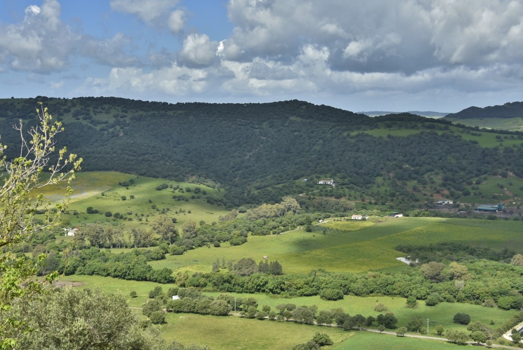 Foto: Paisaje - Alcalá de los Gazules (Cádiz), España