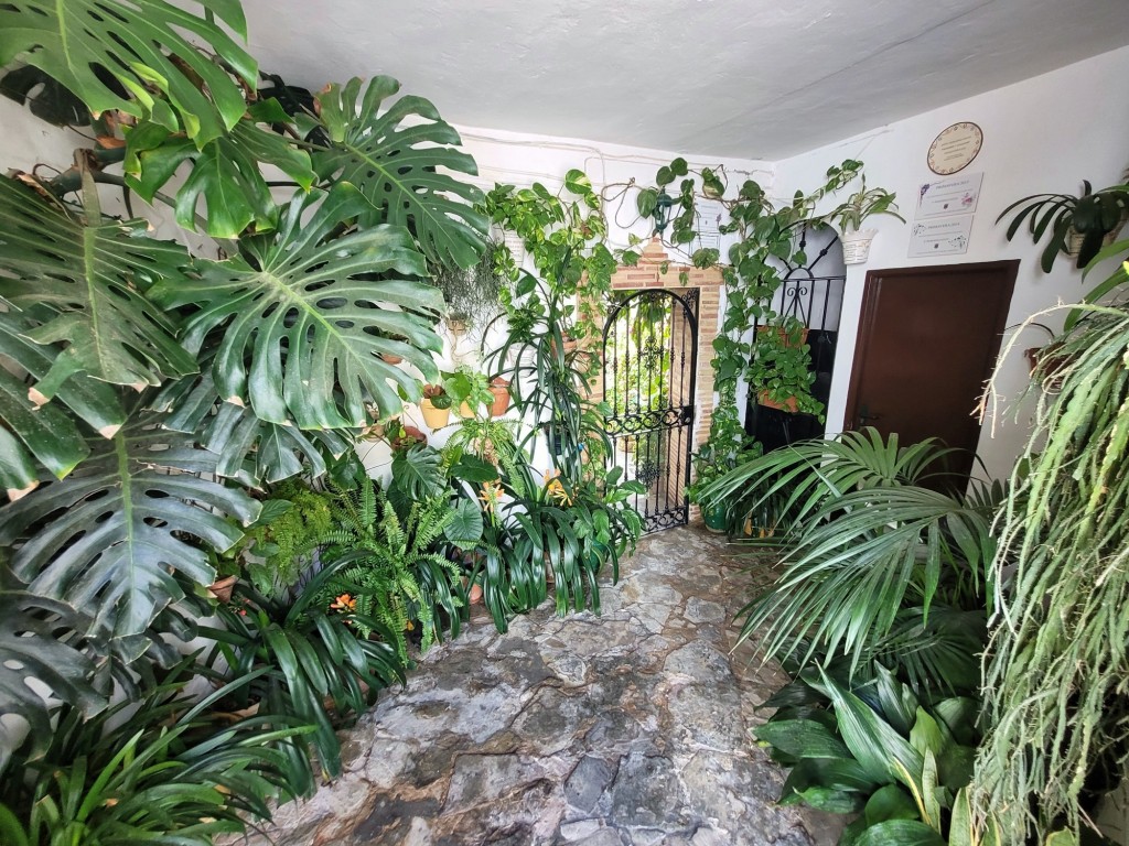 Foto: Centro histórico - Vejer de la Frontera (Cádiz), España