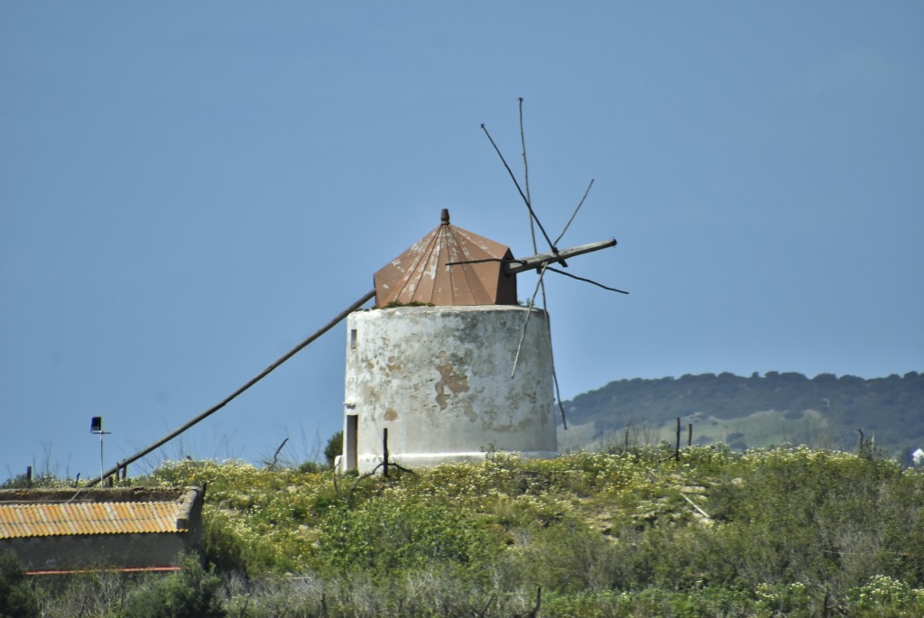 Foto: Molino - Vejer de la Frontera (Cádiz), España