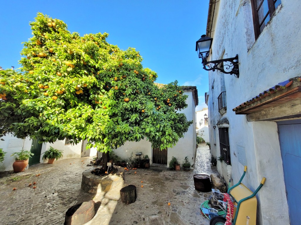 Foto: Castillo de Castellar - Castellar de la Frontera (Cádiz), España