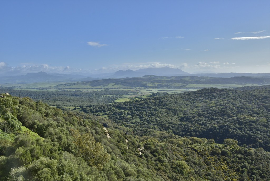 Foto: Paisaje - Castellar de la Frontera (Cádiz), España