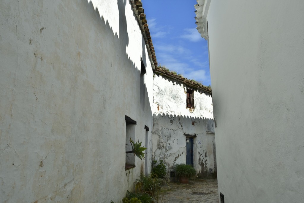 Foto: Castillo de Castellar - Castellar de la Frontera (Cádiz), España