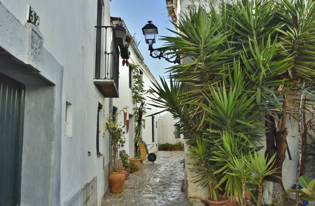 Foto: Castillo de Castellar - Castellar de la Frontera (Cádiz), España