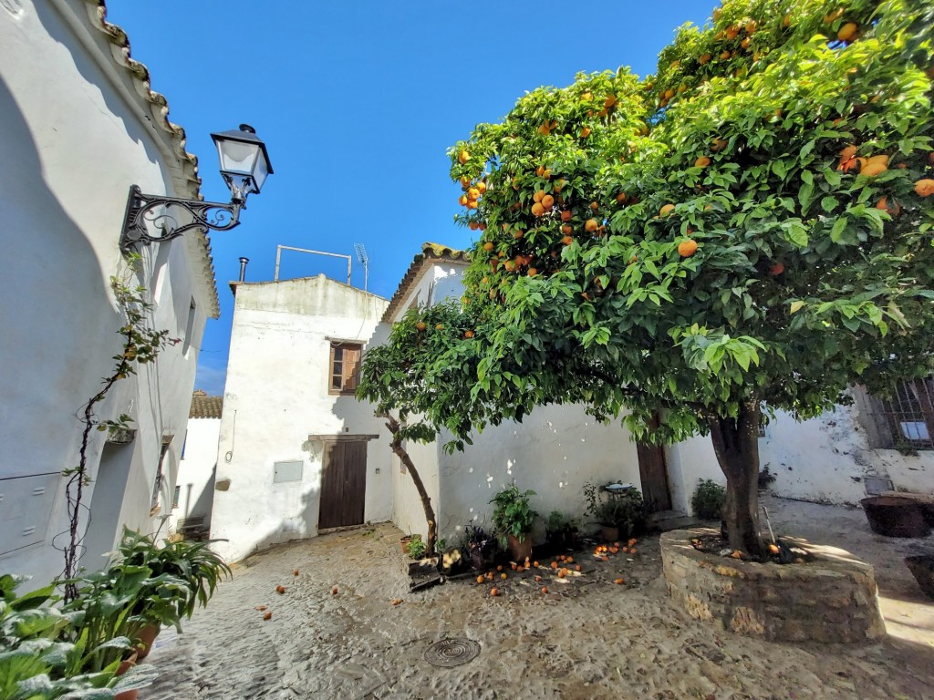 Foto: Castillo de Castellar - Castellar de la Frontera (Cádiz), España