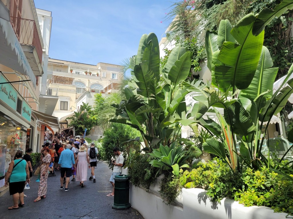 Foto: Centro histórico - Capri (Campania), Italia