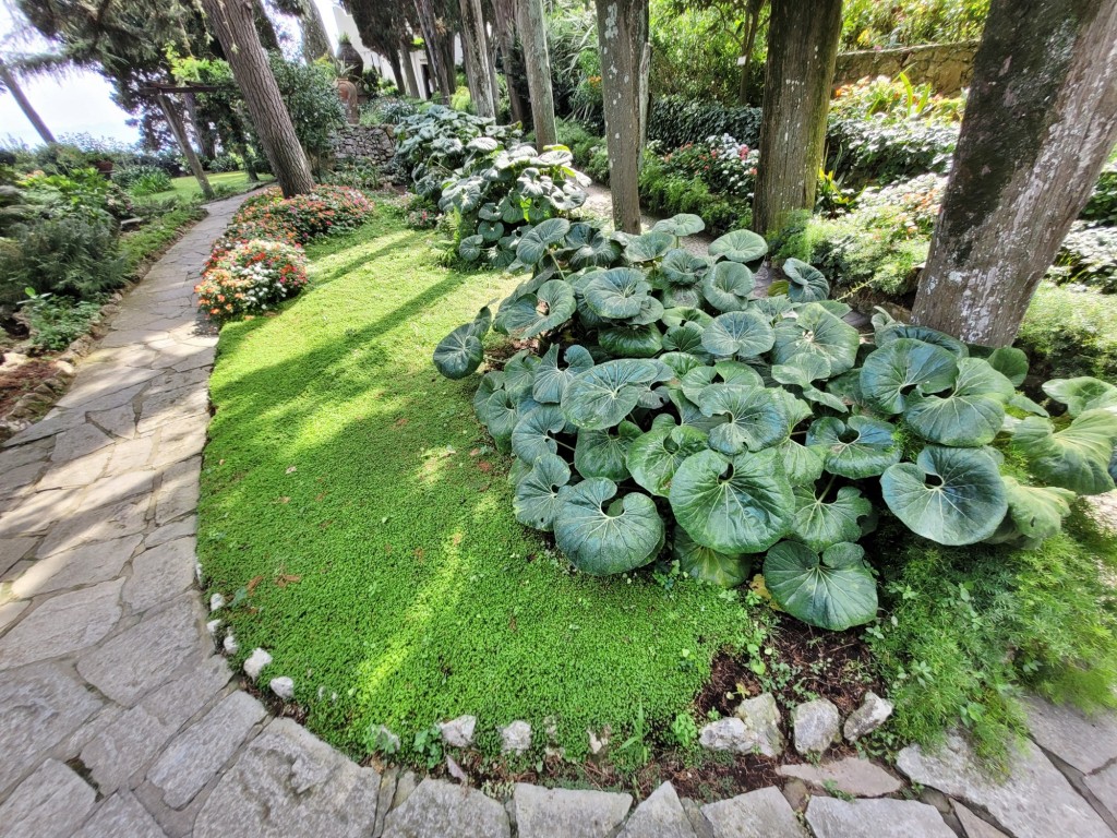 Foto: Villa San Michele - Anacapri (Campania), Italia