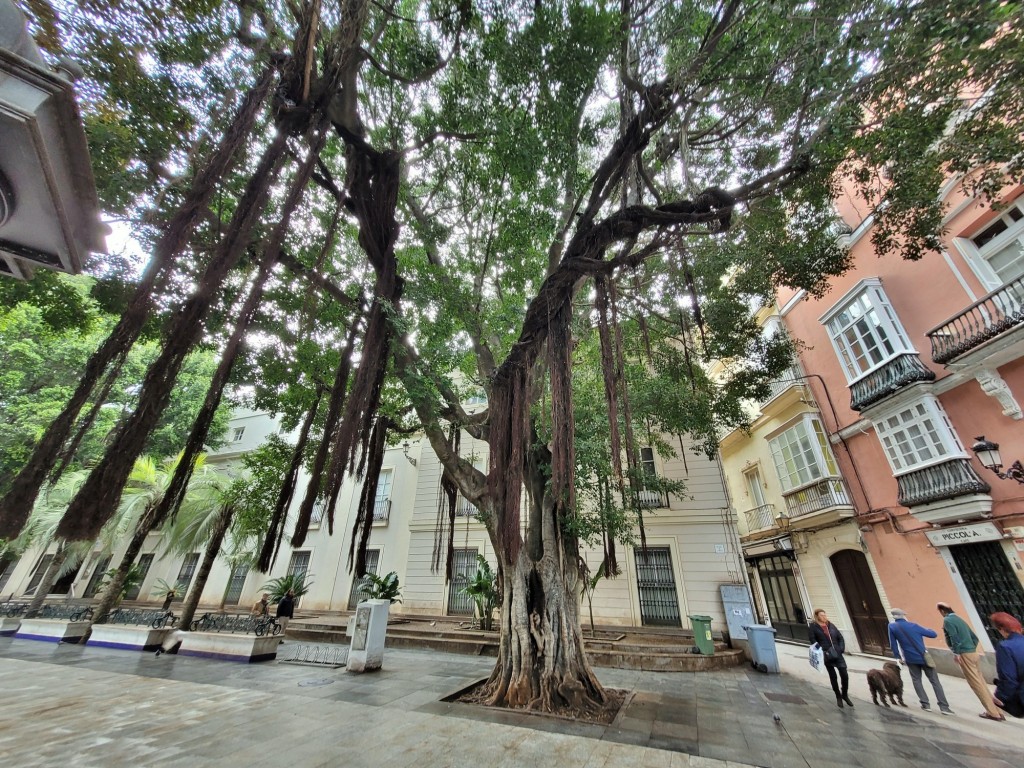 Foto: Plaza de Mina - Cádiz (Andalucía), España