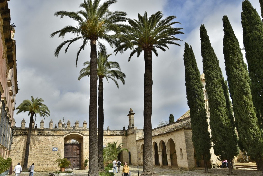 Foto: Alcázar - Jerez de la Frontera (Cádiz), España