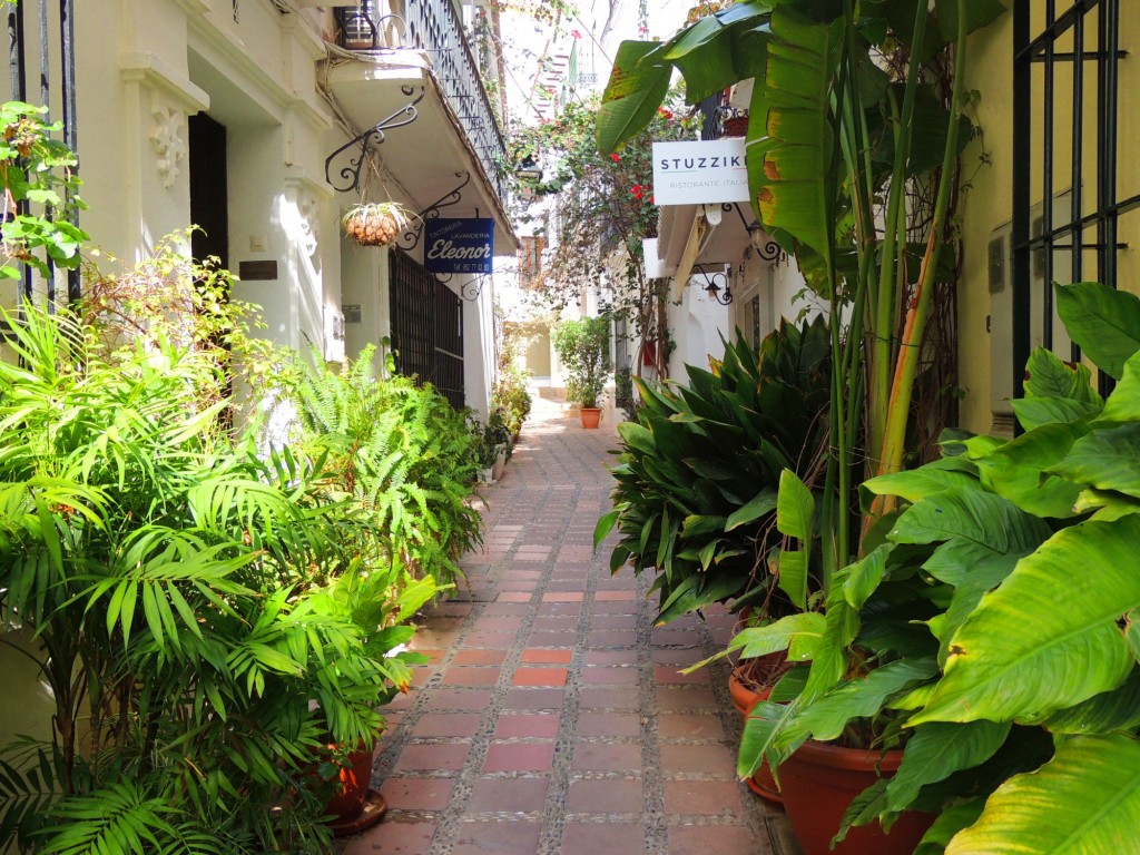 Foto: Calle Alderete - Marbella (Málaga), España