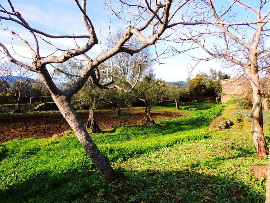 Foto de Granadilla (Cáceres), España