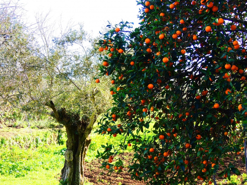 Foto de Granadilla (Cáceres), España