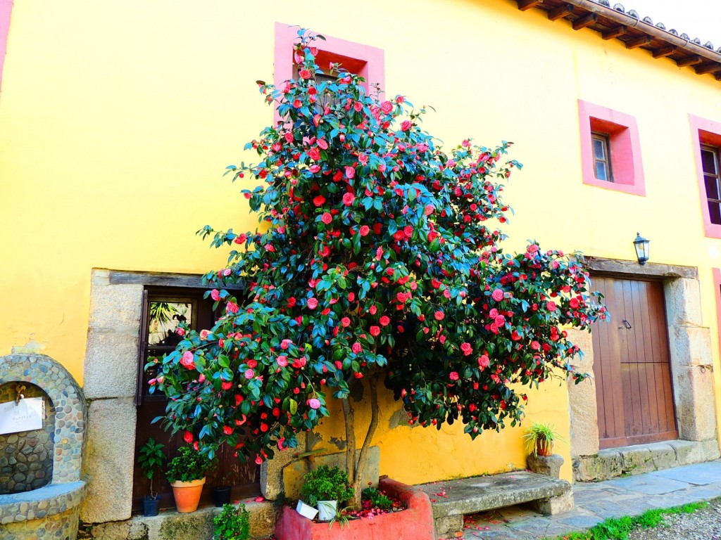 Foto de Granadilla (Cáceres), España