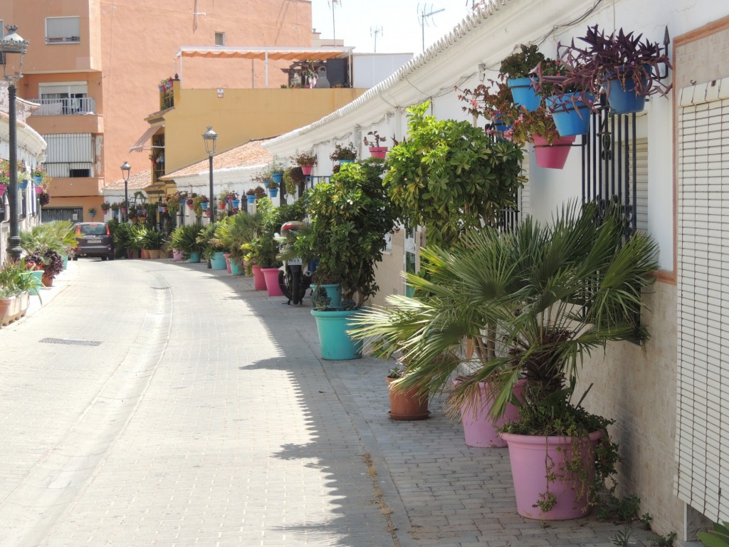 Foto de Estepona (Málaga), España