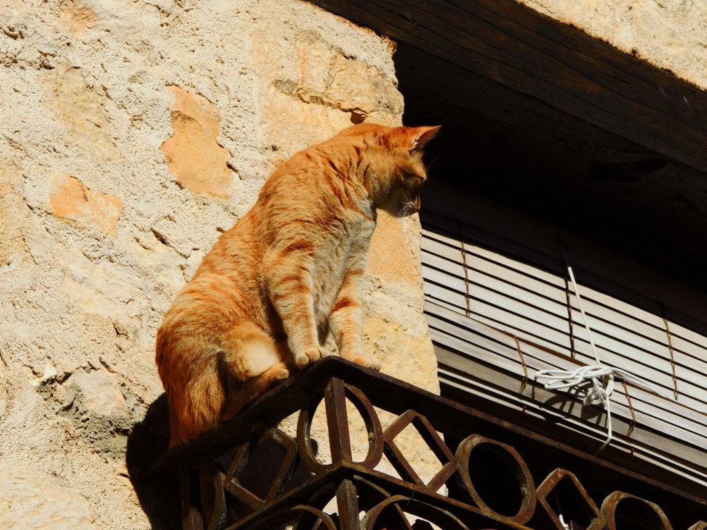 Foto de Pedraza (Segovia), España