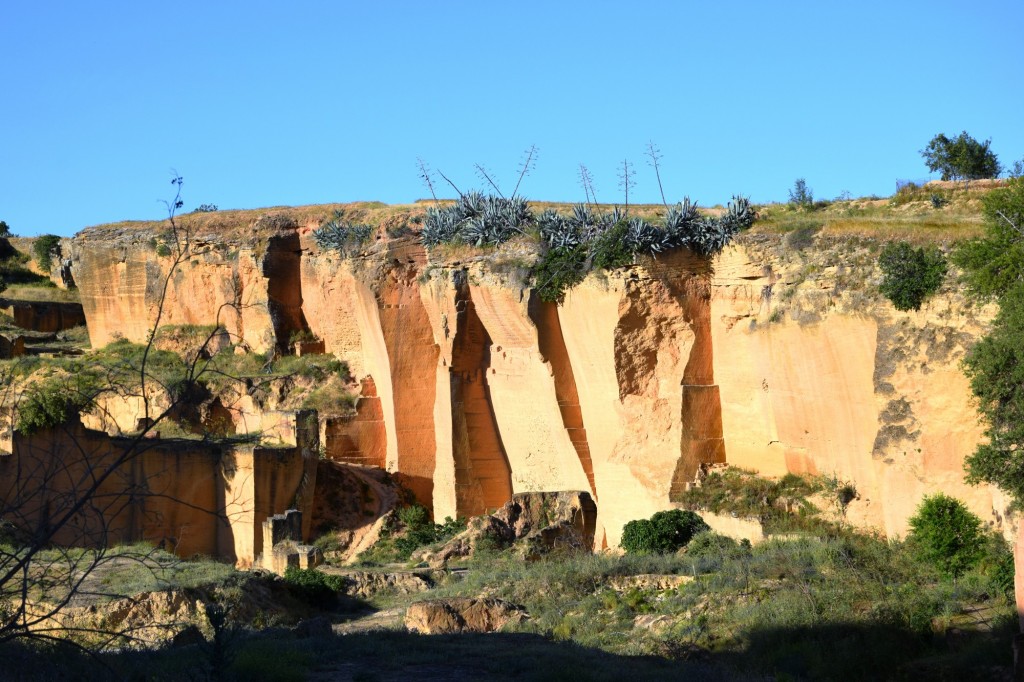 Foto: Coto las Canteras - Osuna (Sevilla), España