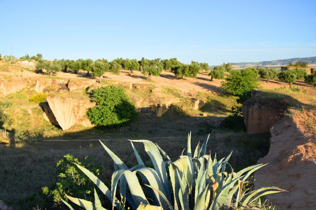 Foto: Coto de las Canteras - Osuna (Sevilla), España