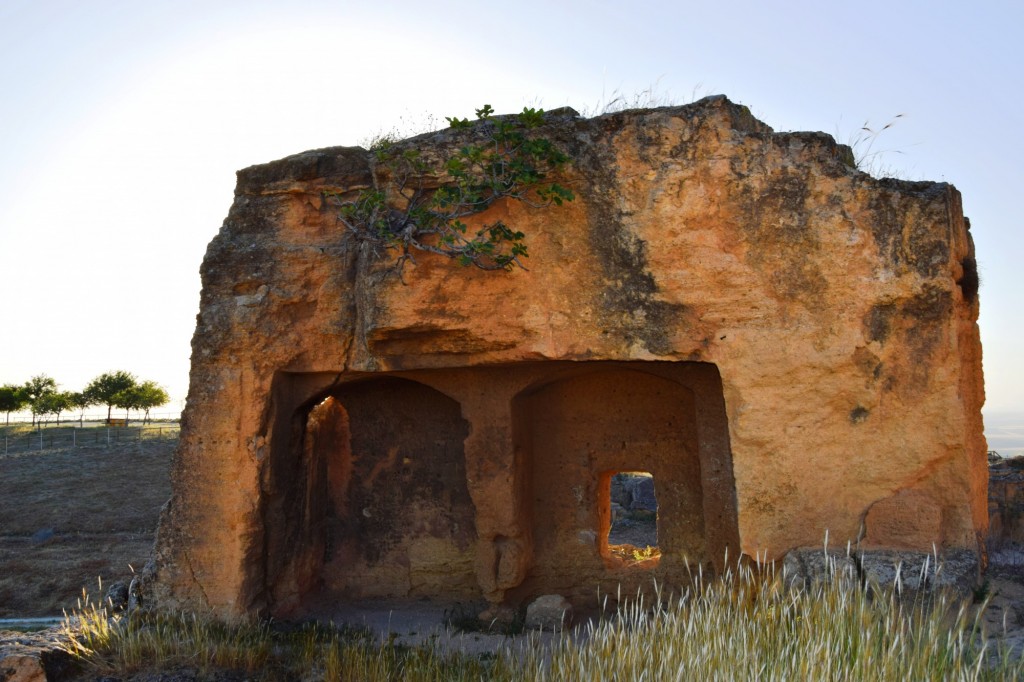 Foto: Coto de las Canteras - Osuna (Sevilla), España