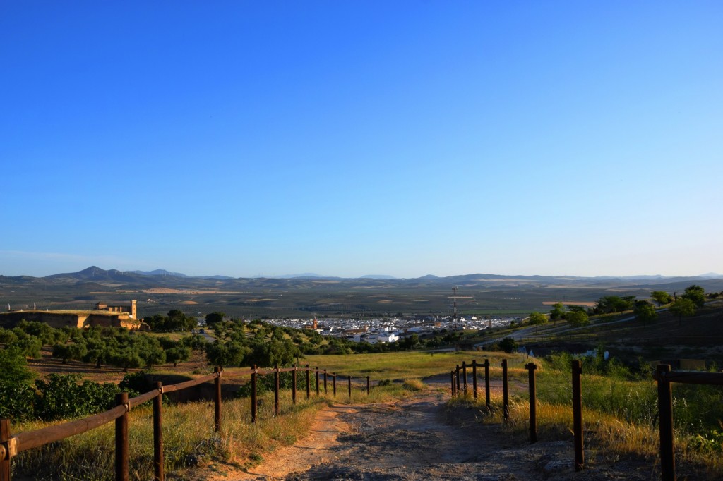 Foto: Coto de las Canteras - Osuna (Sevilla), España