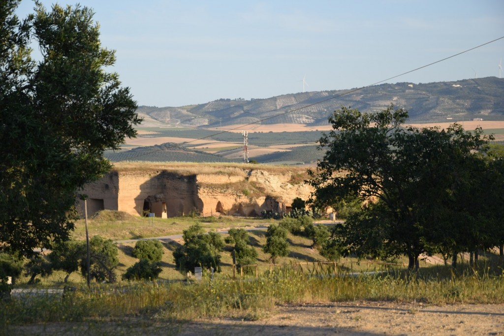 Foto: Coto de las Canteras - Osuna (Sevilla), España