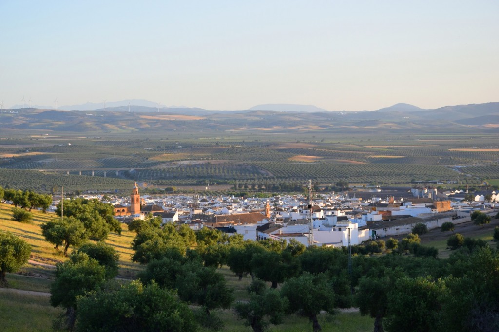 Foto de Osuna (Sevilla), España