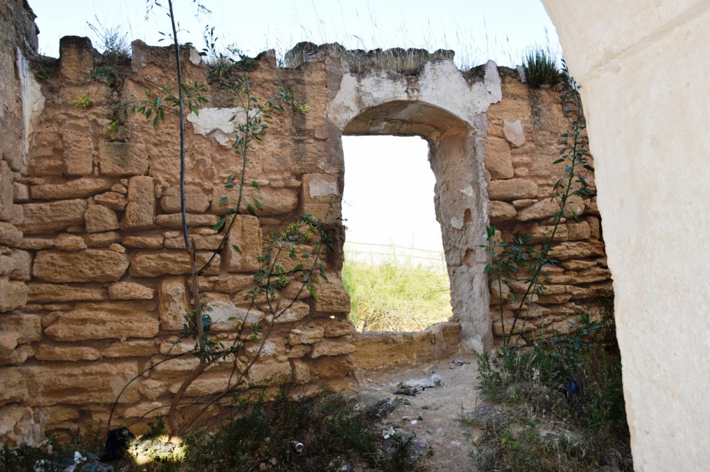 Foto: Coto de las Canteras - Osuna (Sevilla), España