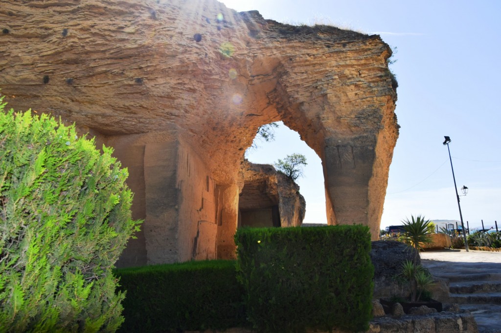 Foto: Coto de las Canteras - Osuna (Sevilla), España