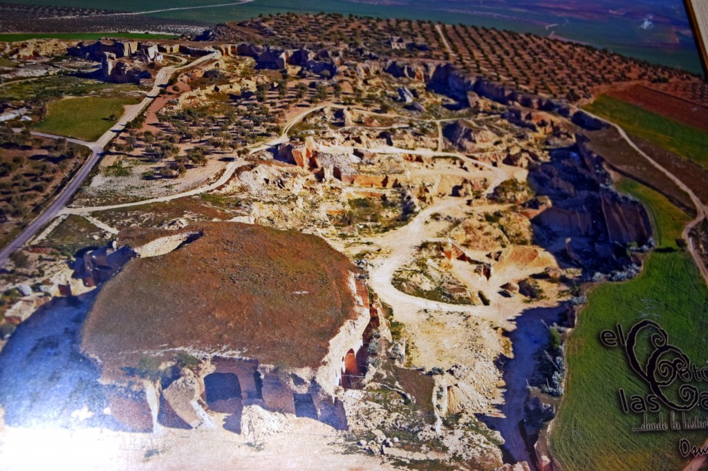 Foto: Coto de las Canteras - Osuna (Sevilla), España