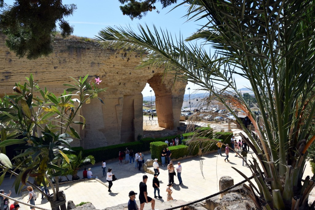 Foto: Coto de las Canteras - Osuna (Sevilla), España