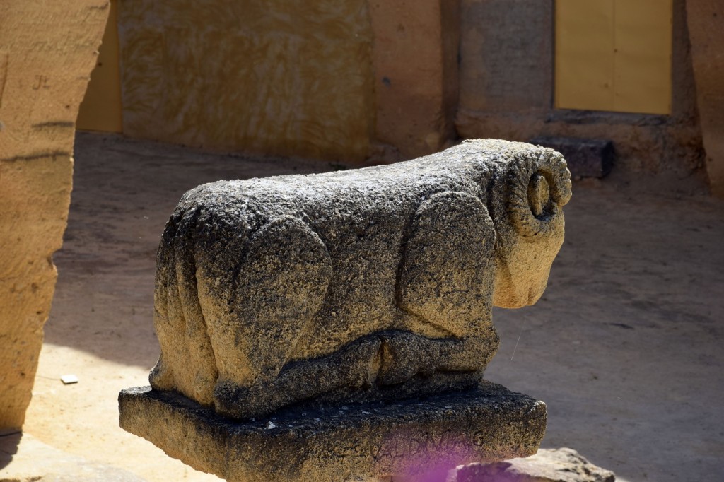 Foto: Coto de las Canteras - Osuna (Sevilla), España