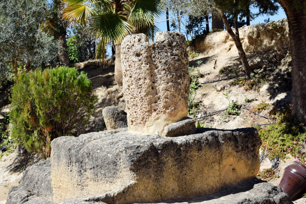 Foto: Coto de las Canteras - Osuna (Sevilla), España