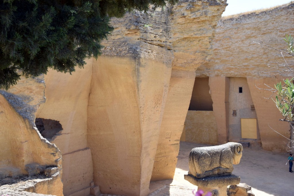 Foto: Coto de las Canteras - Osuna (Sevilla), España