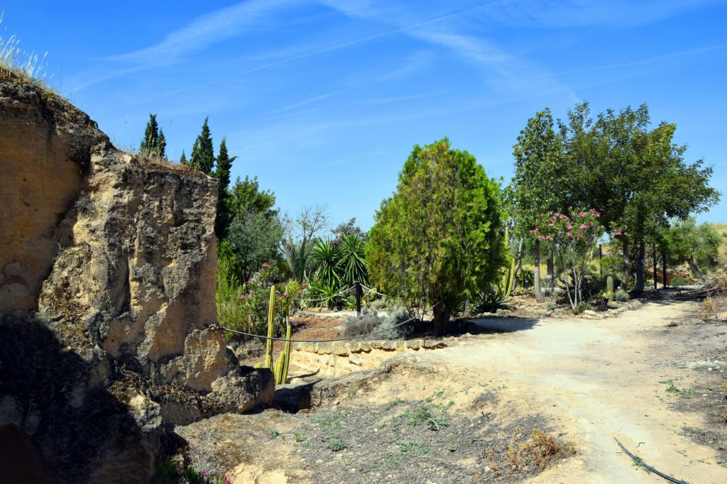 Foto: Coto de las Canteras - Osuna (Sevilla), España