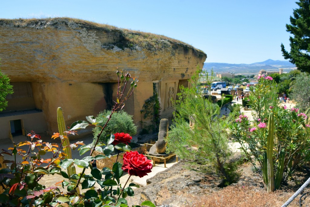 Foto: Coto de las Canteras - Osuna (Sevilla), España