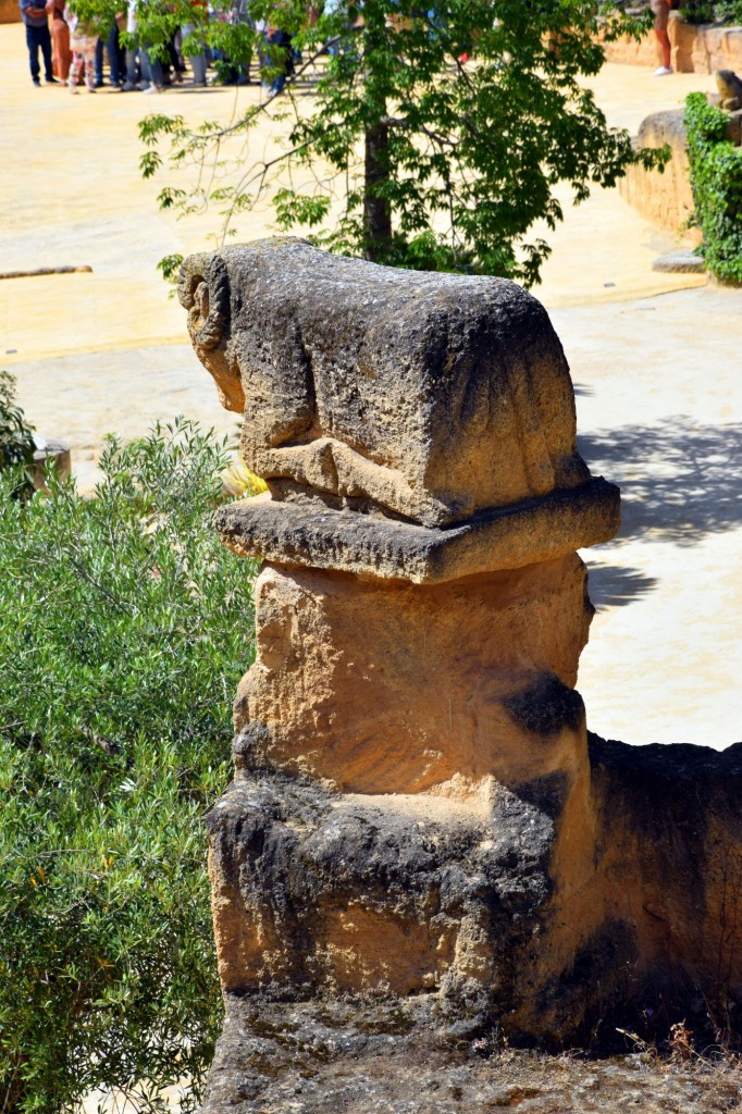 Foto: Coto de las Canteras - Osuna (Sevilla), España