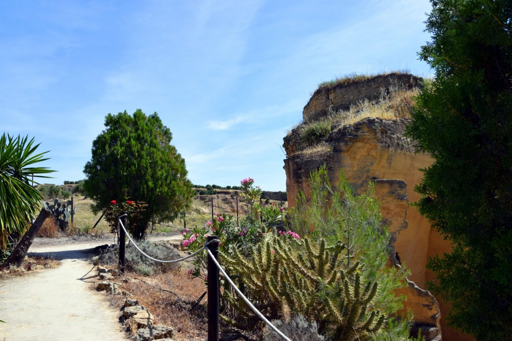 Foto: Coto de las Canteras - Osuna (Sevilla), España